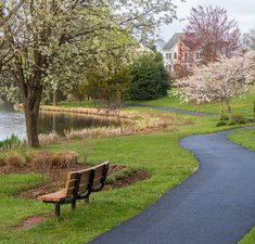 A bench beside a pathway along a pond in a US neighborhood in Ashburn, Virginia in spring time.